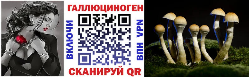 Галлюциногенные грибы ЛСД Похвистнево